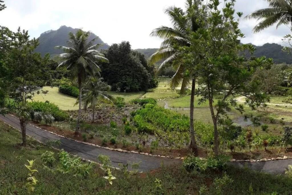 Studio Bord De Mer Fare Tahitea Pension Taputapuapea ภายนอก รูปภาพ