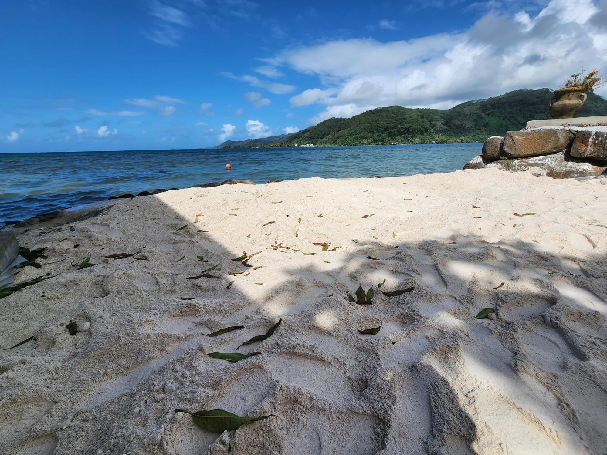 Studio Bord De Mer Fare Tahitea Pension Taputapuapea ภายนอก รูปภาพ